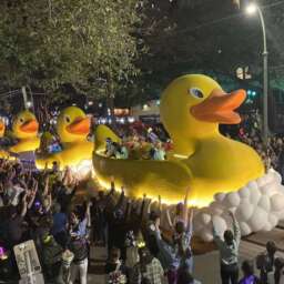 Mardi Gras Mambo Package